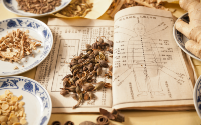The Enduring History of Chinese Herbal Medicine