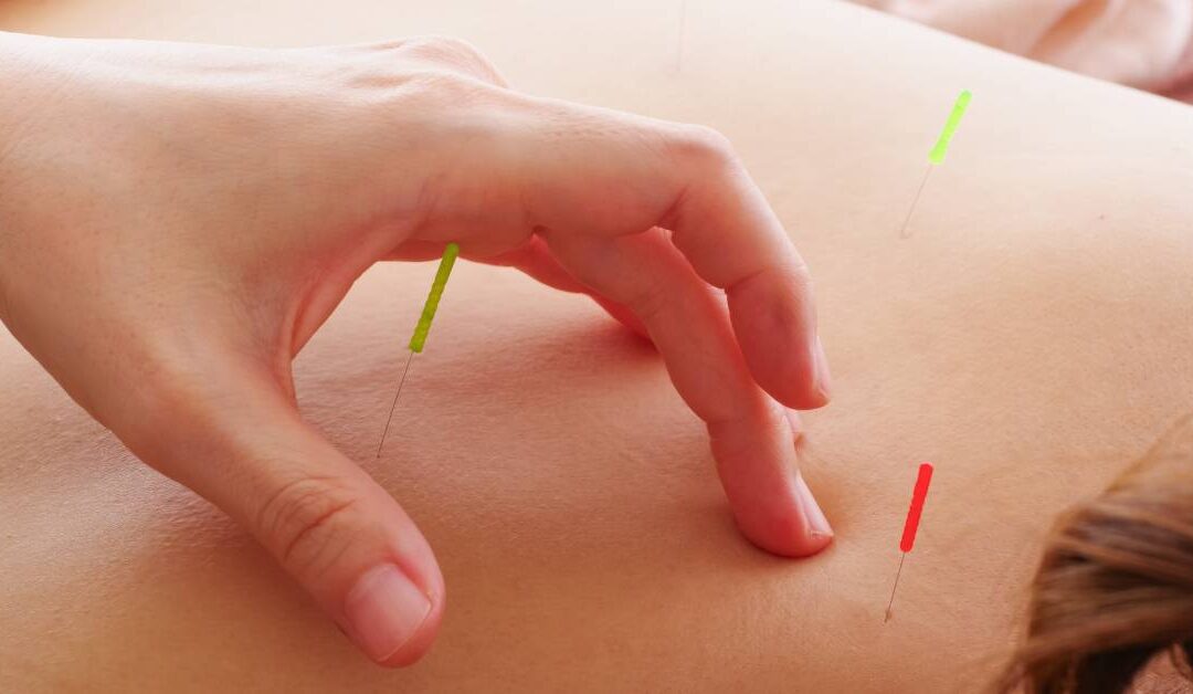 Seasons-In-Our-Life-Acupuncture-Chinese-Medicine